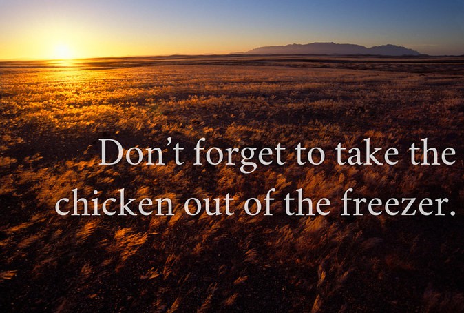Chicken