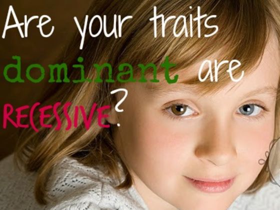 Are Your Traits Dominant Or Recessive?