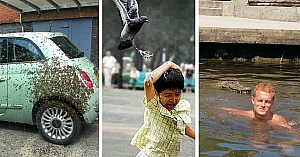 10 Horrific Cases Of Bad Luck With No Hope Of Recovery