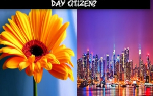 Are You A Flower Child Or A Modern-Day Citizen?