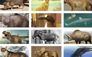 What Extinct Animal Are You?