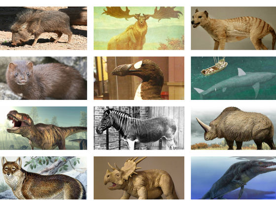 What Extinct Animal Are You?