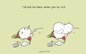 10 Benefits Of Having A Cat