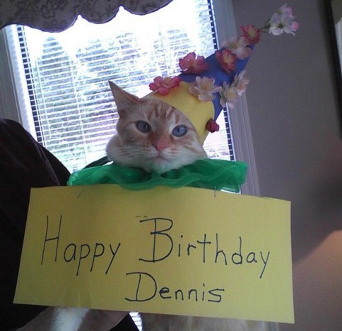 Dennis isn't amused