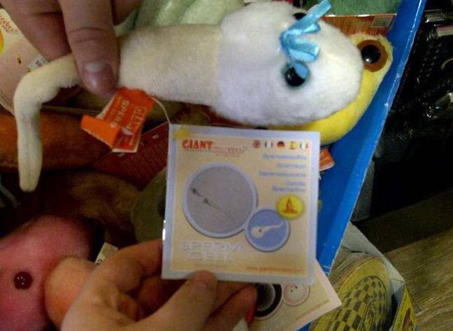 These 10 Inappropriate Children Toy Designs Will Make You Question The ...