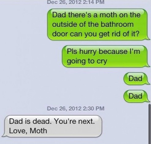 Love, Moth