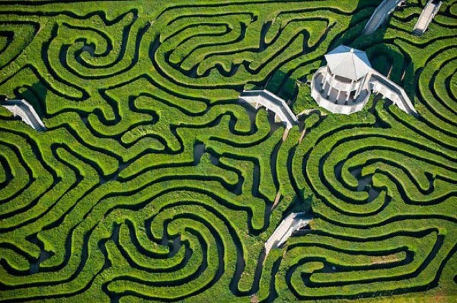 Hedge Maze, England