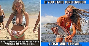 10 Pictures Where You Have To Focus On Important Things