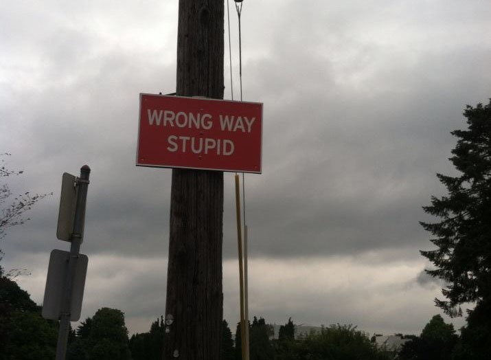 Wrong Way, Stupid