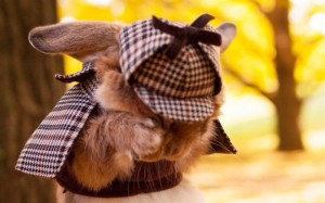 This Little Buy Is More Stylish Than You Are And It Will Make You Jealous