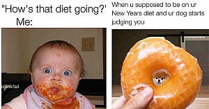 These 10 Memes Sum Up How Anyone On A Diet Feels Like
