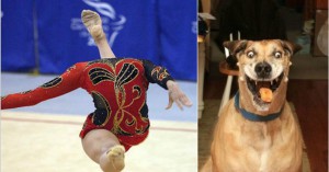 These 10 Perfectly Timed Photos Will Make Your Day