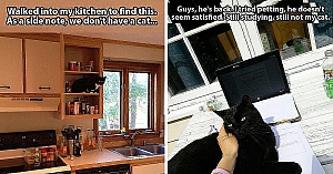 10 Funniest 