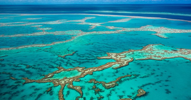 The Great Barrier Reef