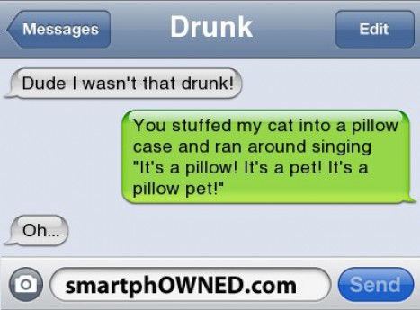 Pillow Pet