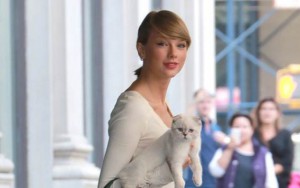10 Celebs Who Adore Their Cats