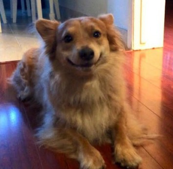 The Happiest One