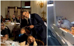 10 Amazing Things You'd Never Believe Have Happened Without Photo Evidence