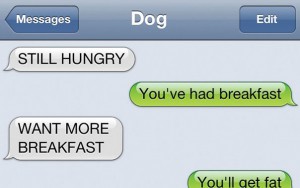 What If Dogs Texted? 12 Hilarious Texts From Dogs