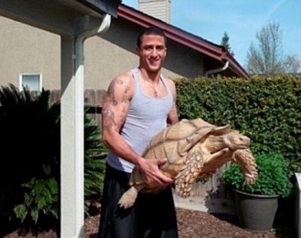 Sammy: A 115-Pound Tortoise