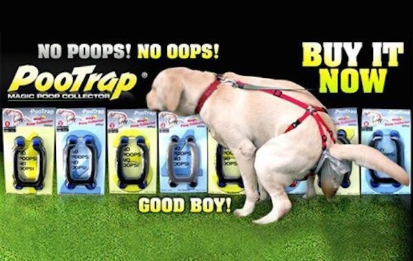 No poops. No oops.