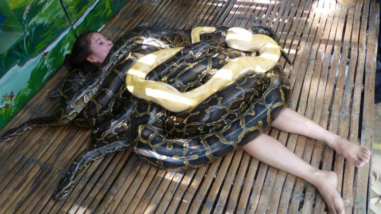 Snake Massage