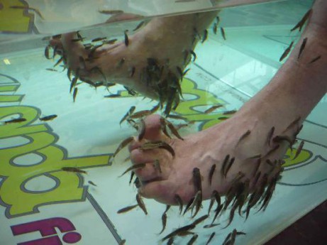 Fish Pedicures