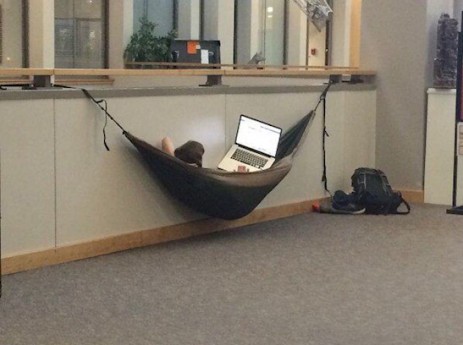 Hammock chill