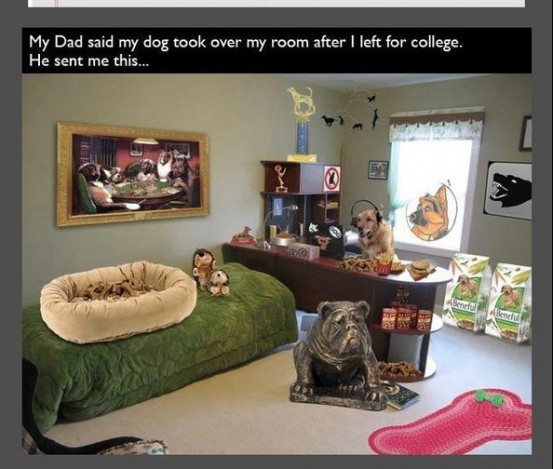 Dog Space