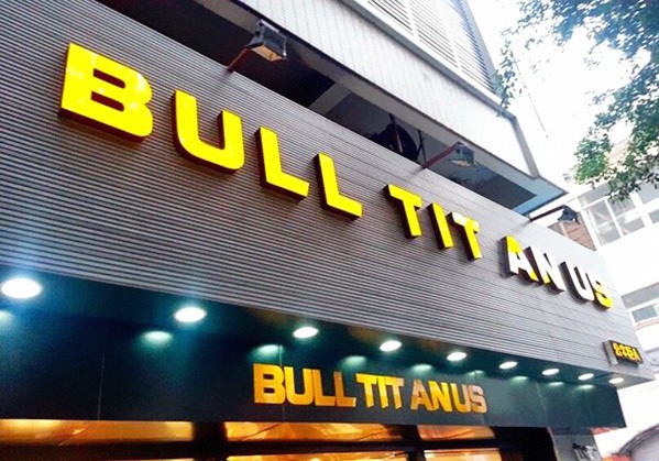 Bull Titan US