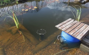 This Is What A Swimming Pool Of The Future Looks Like And It Will Blow You Away
