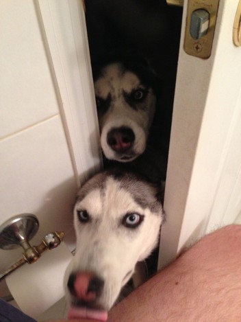 No Privacy In The Bathroom