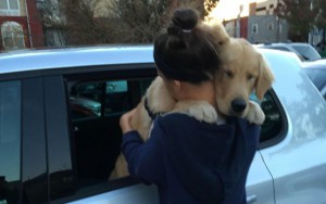 12 Undeniable Reasons Why Dogs Are Amazing