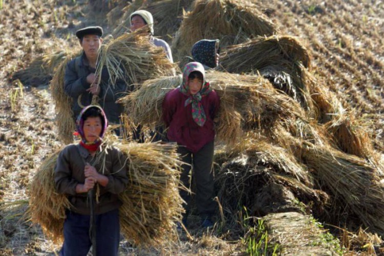 Half of the population in North Korea lives in poverty