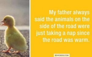 10 Hilarious Little Lies Parents Tell Their Children