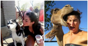 These Animals Not Caring About Your Selfie Is The Funniest Thing You'll See Today